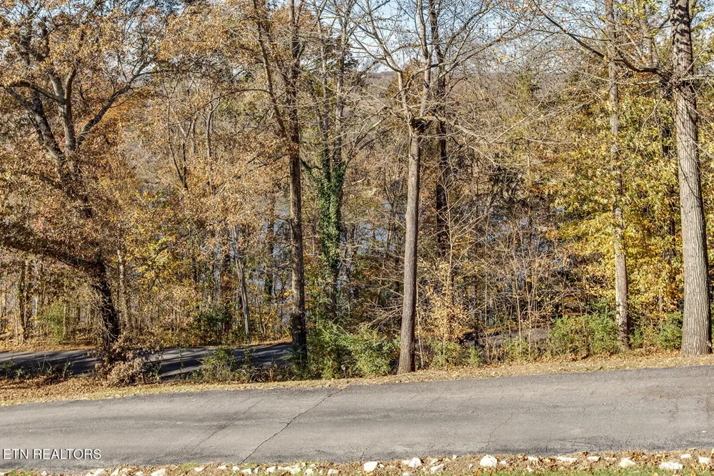417 River Rd Loudon, TN 37774