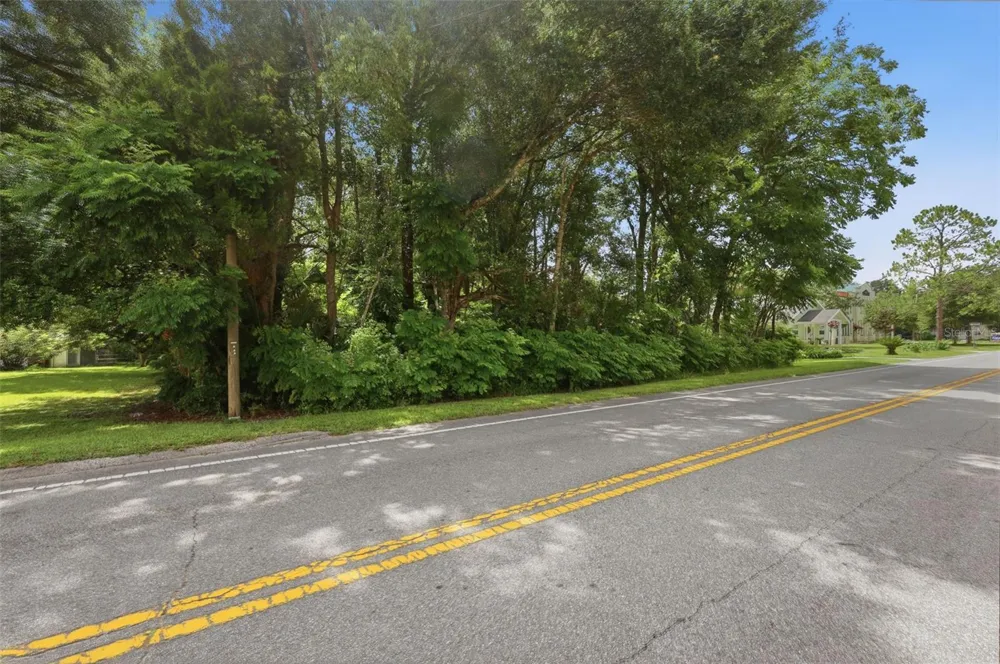 S LAKEVIEW DRIVE Lake Helen, FL 32744
