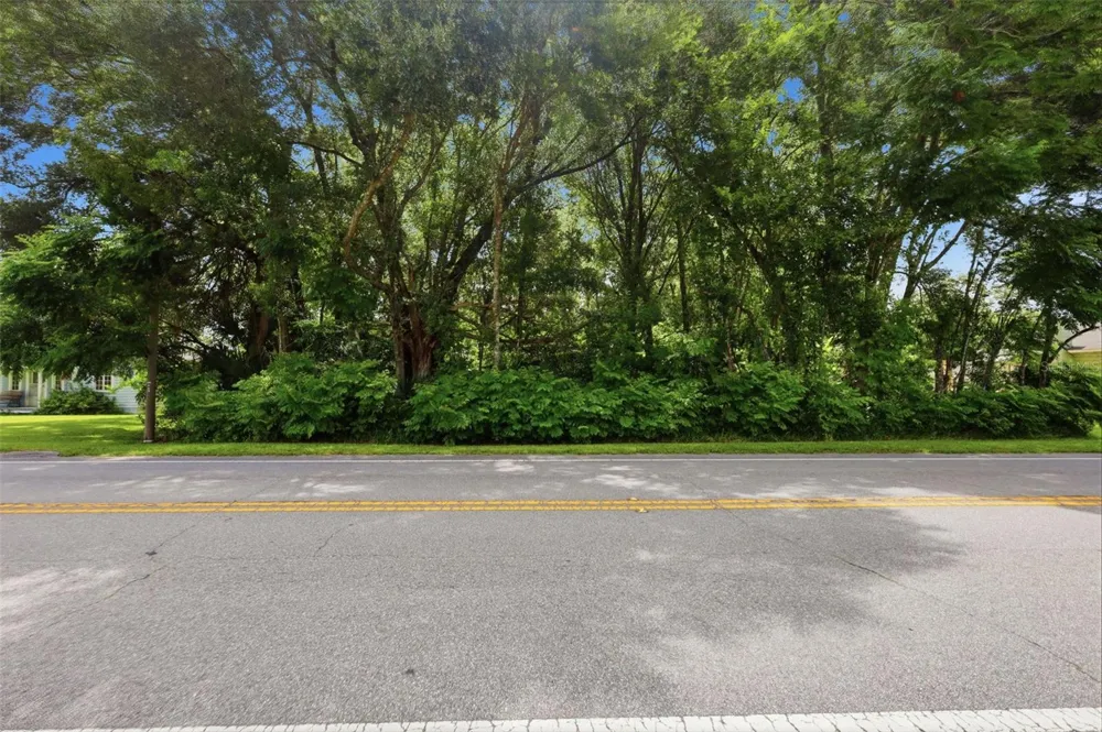 S LAKEVIEW DRIVE Lake Helen, FL 32744
