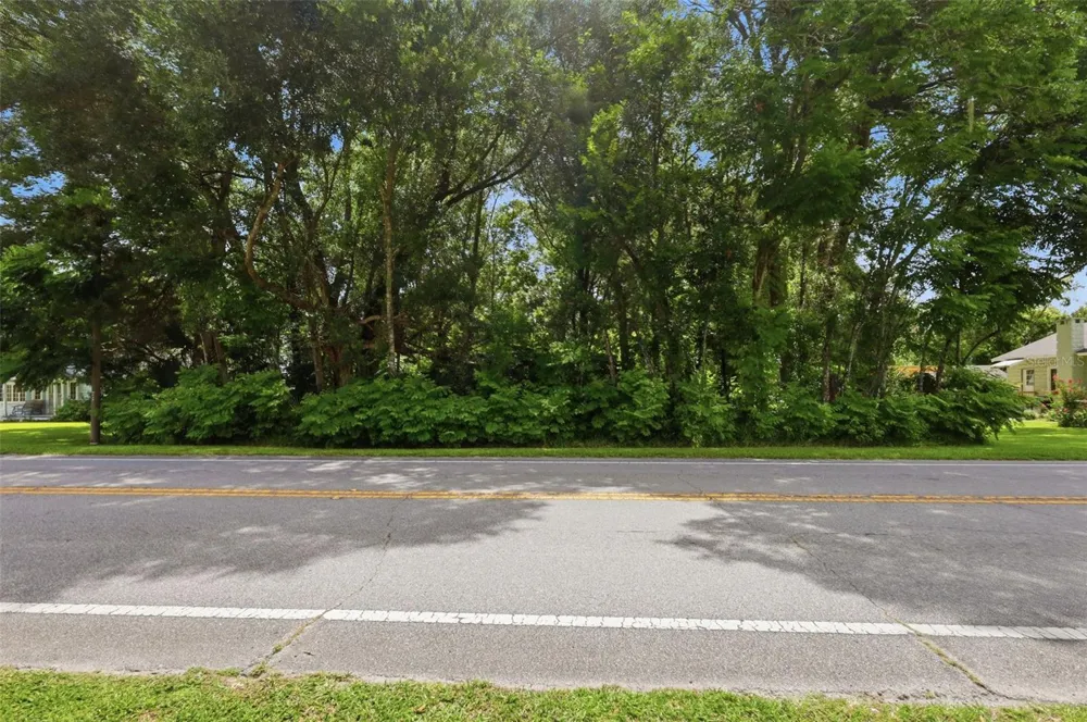 S LAKEVIEW DRIVE Lake Helen, FL 32744