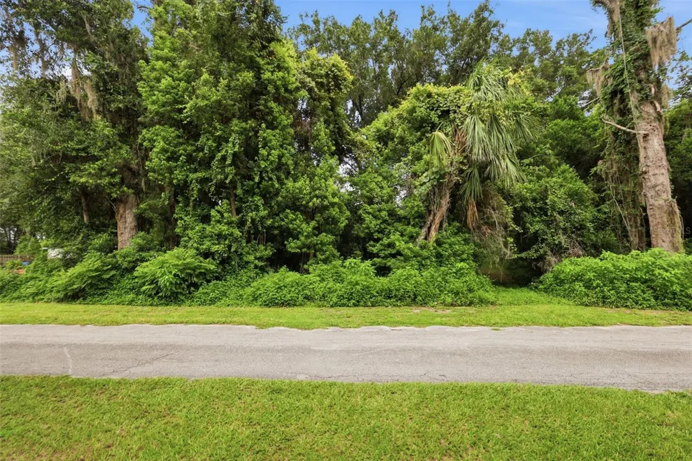 S LAKEVIEW DRIVE Lake Helen, FL 32744