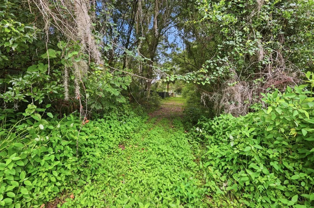 S LAKEVIEW DRIVE Lake Helen, FL 32744