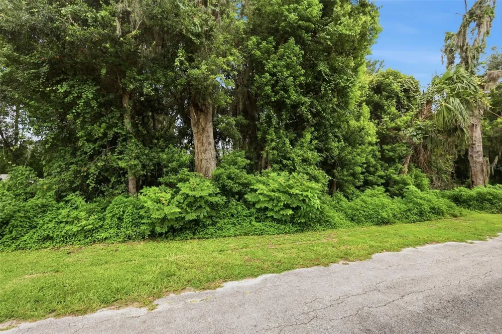S LAKEVIEW DRIVE Lake Helen, FL 32744