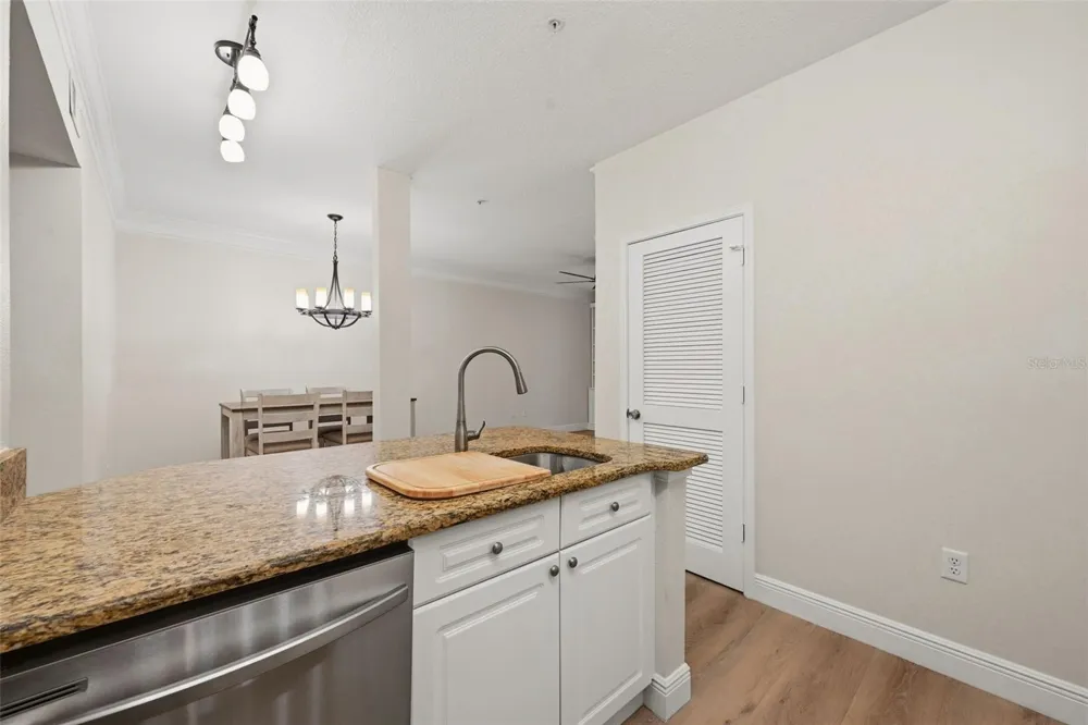 239 LONGVIEW AVENUE #207 Celebration, FL 34747