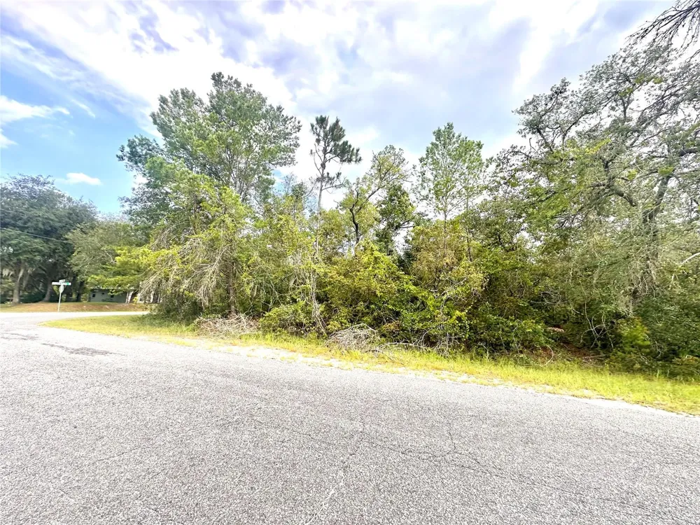 SAFFRON AVENUE Eustis, FL 32736