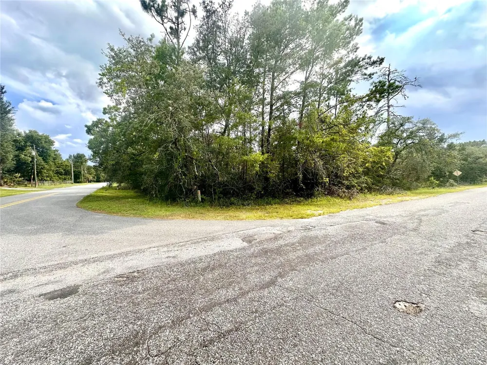 SAFFRON AVENUE Eustis, FL 32736