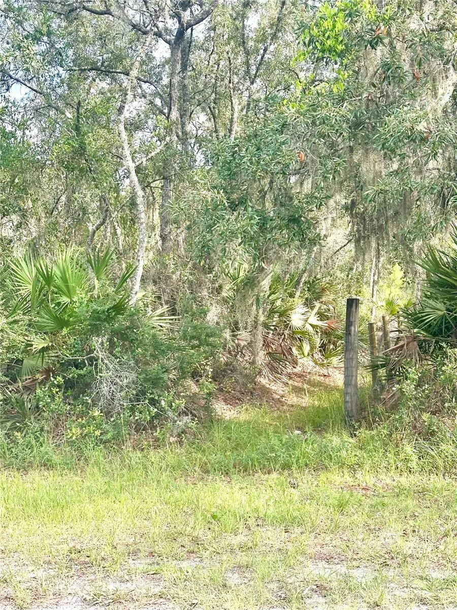 SAFFRON AVENUE Eustis, FL 32736