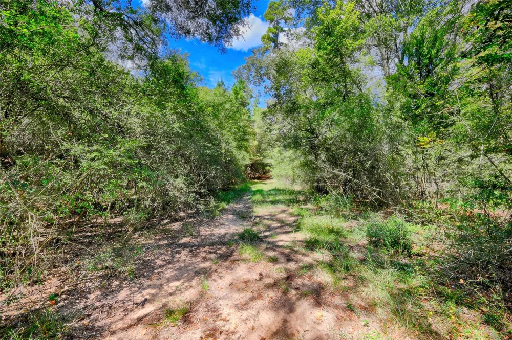 Windy Oaks Huntsville, TX 77320
