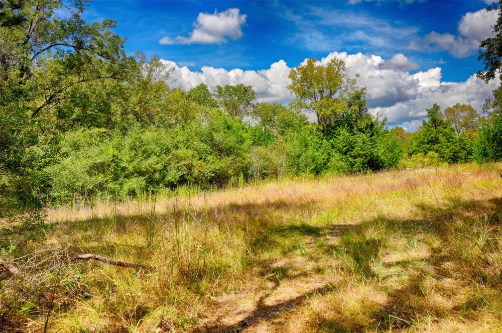 Windy Oaks Huntsville, TX 77320