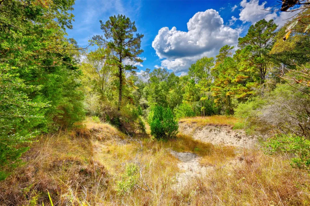 Windy Oaks Huntsville, TX 77320