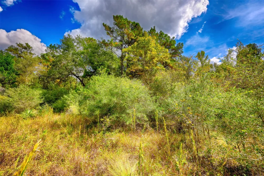 Windy Oaks Huntsville, TX 77320