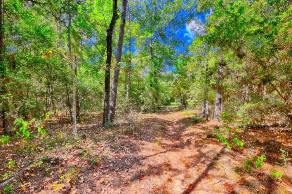 Windy Oaks Huntsville, TX 77320