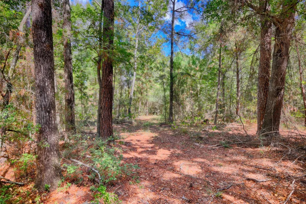 Windy Oaks Huntsville, TX 77320