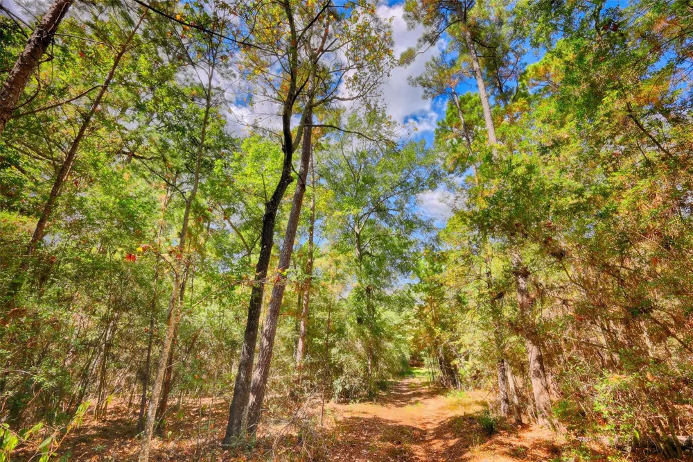 Windy Oaks Huntsville, TX 77320