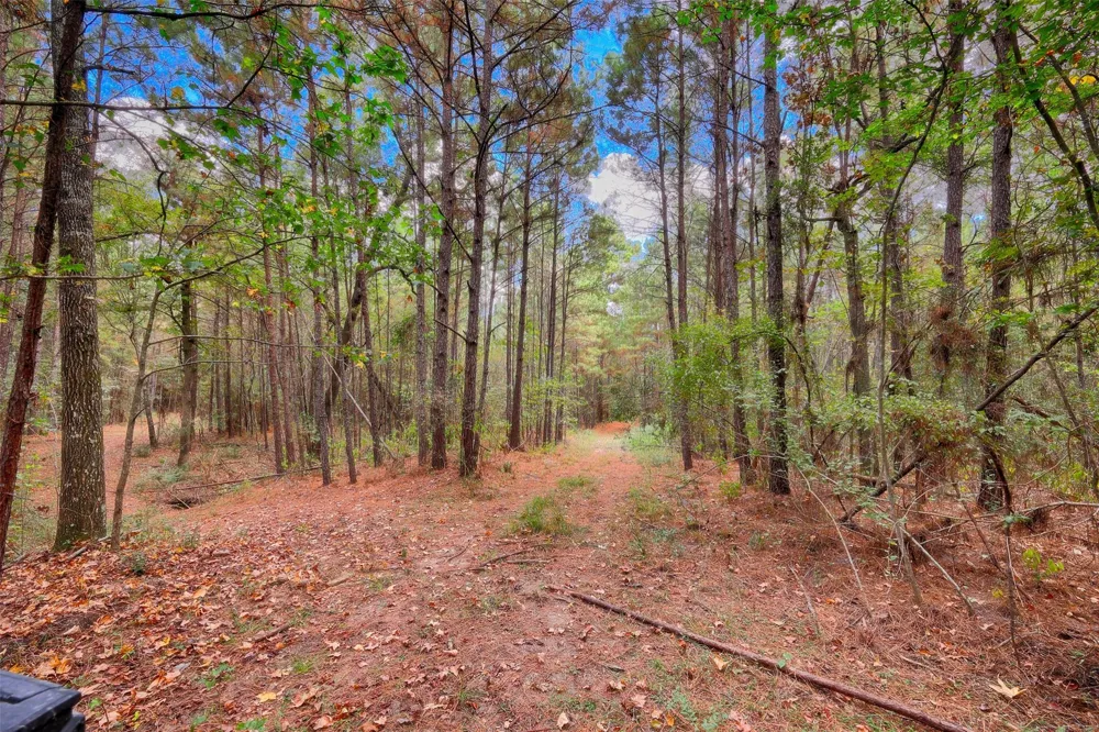 Windy Oaks Huntsville, TX 77320