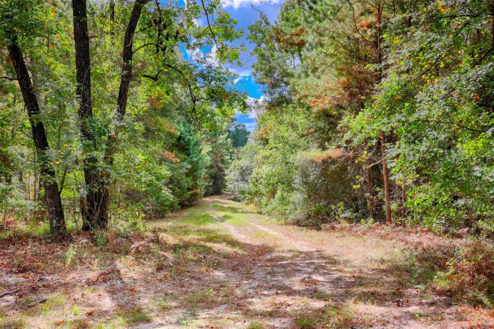 Windy Oaks Huntsville, TX 77320