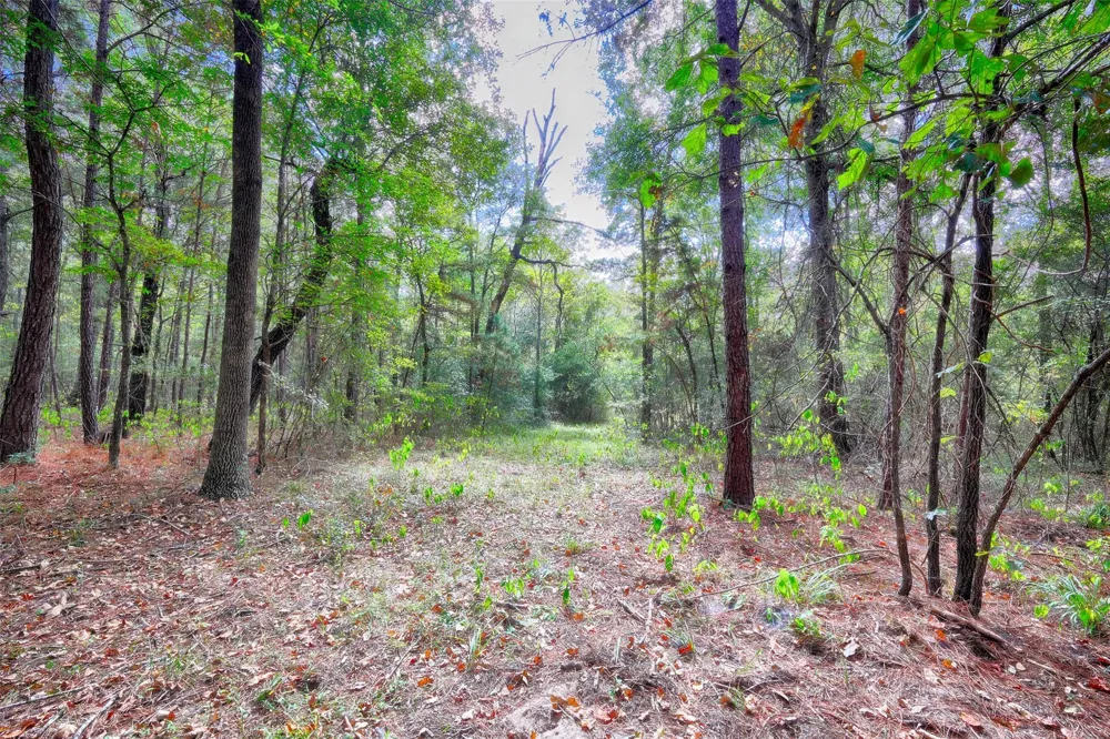 Windy Oaks Huntsville, TX 77320