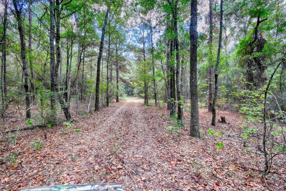 Windy Oaks Huntsville, TX 77320