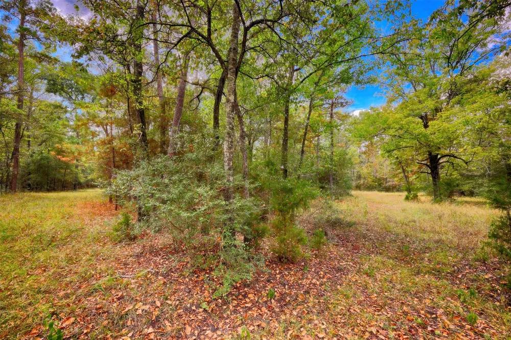 Windy Oaks Huntsville, TX 77320