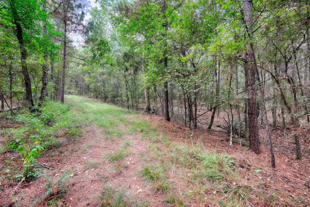 Windy Oaks Huntsville, TX 77320