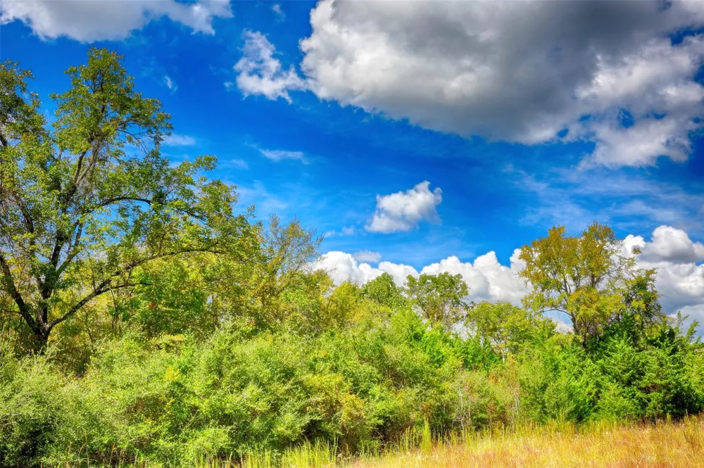 Windy Oaks Huntsville, TX 77320