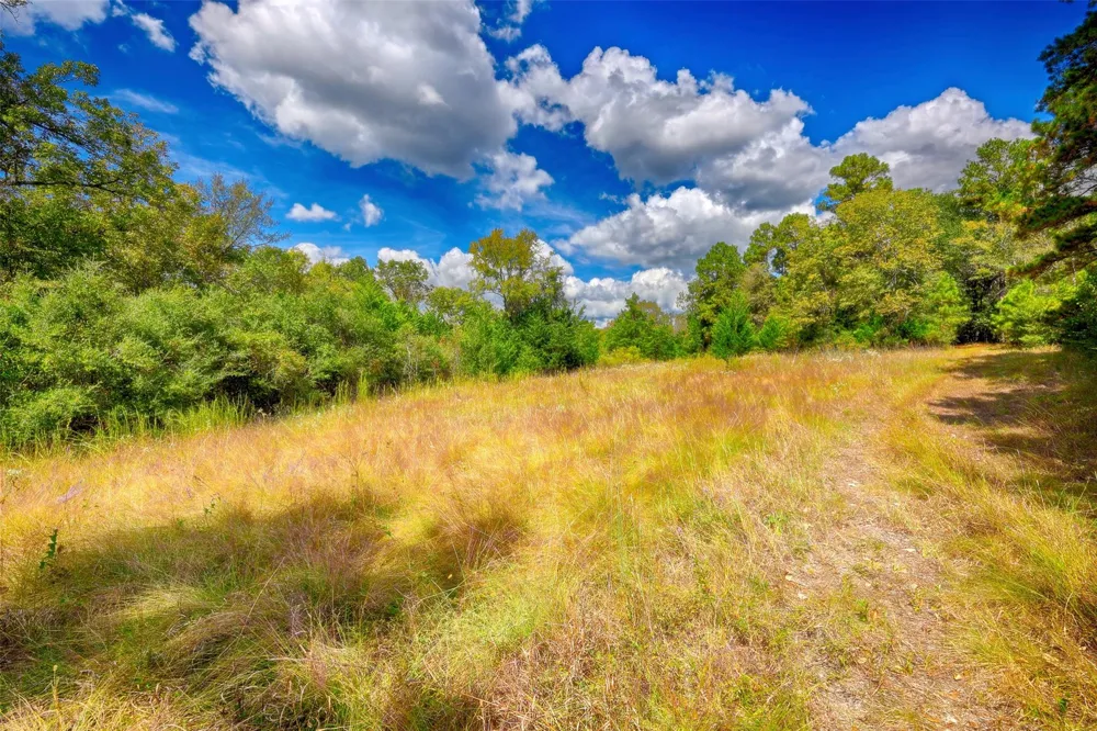 Windy Oaks Huntsville, TX 77320