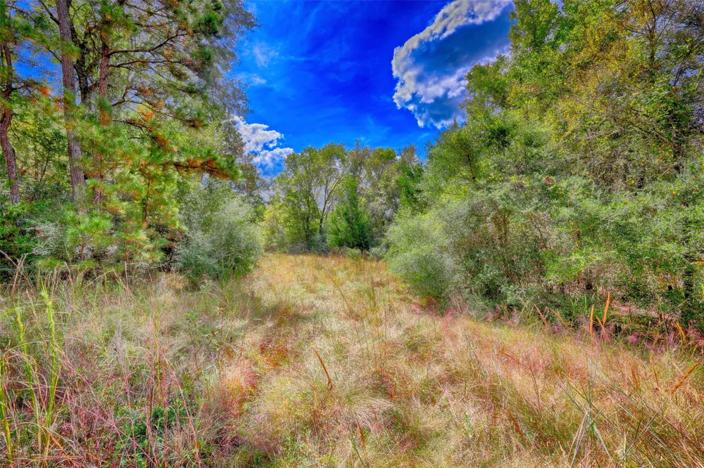 Windy Oaks Huntsville, TX 77320