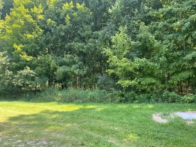 802 W 4 ROAD Hanover Township, MI 49690