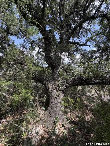 358 (LOT 1241) Toucan Dr Spring Branch, TX 78070