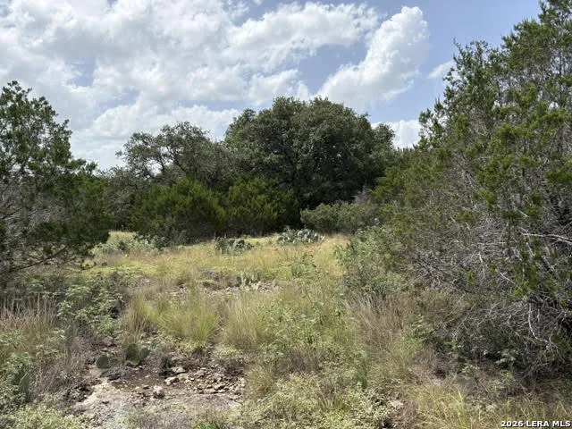 358 (LOT 1241) Toucan Dr Spring Branch, TX 78070