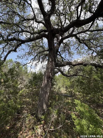 358 (LOT 1241) Toucan Dr Spring Branch, TX 78070