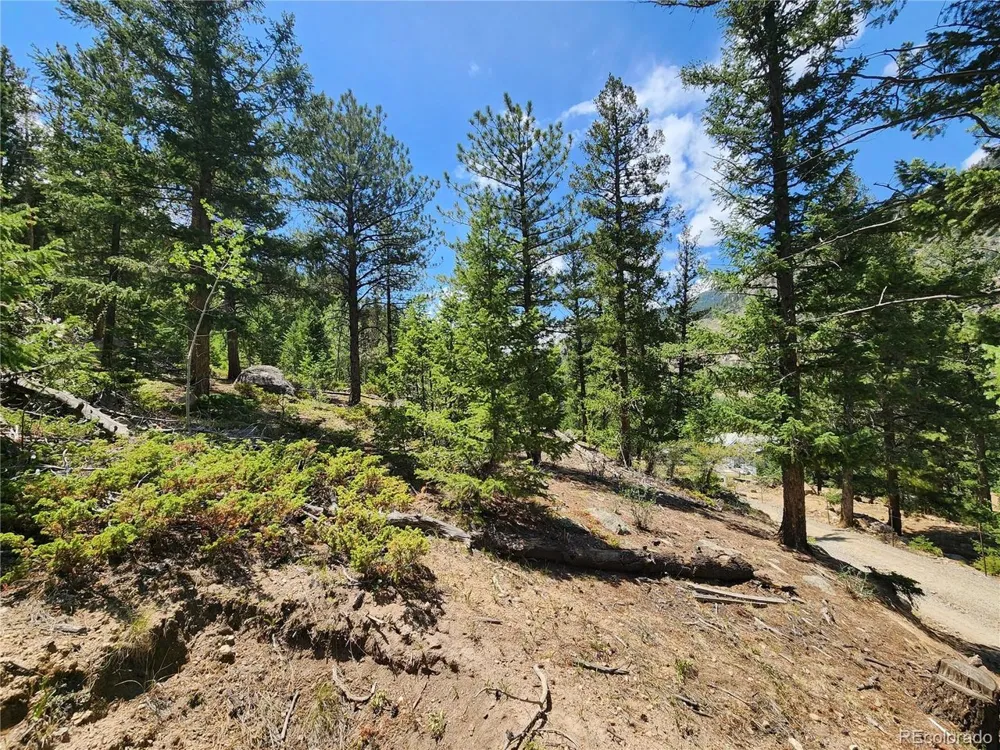 256 Capital Road Dumont, CO 80436