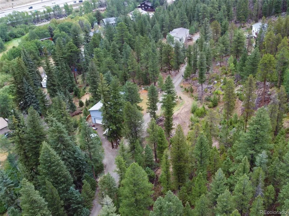 256 Capital Road Dumont, CO 80436