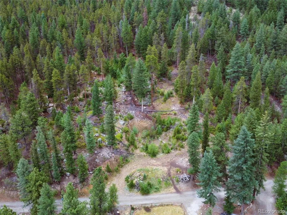 256 Capital Road Dumont, CO 80436