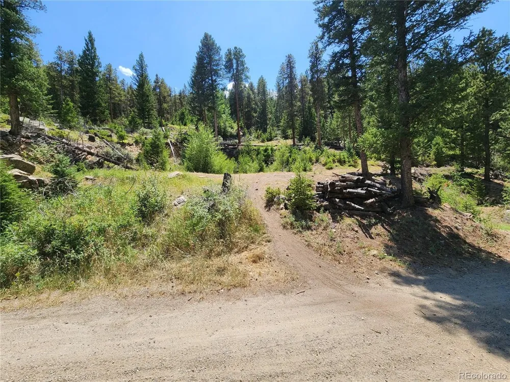 256 Capital Road Dumont, CO 80436