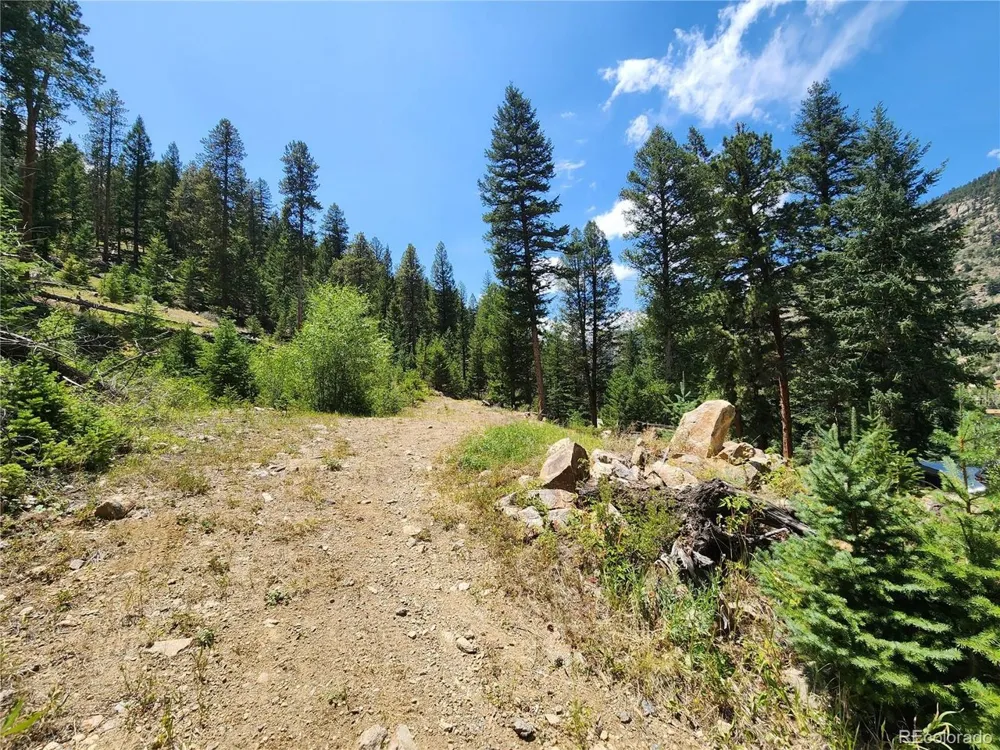 256 Capital Road Dumont, CO 80436