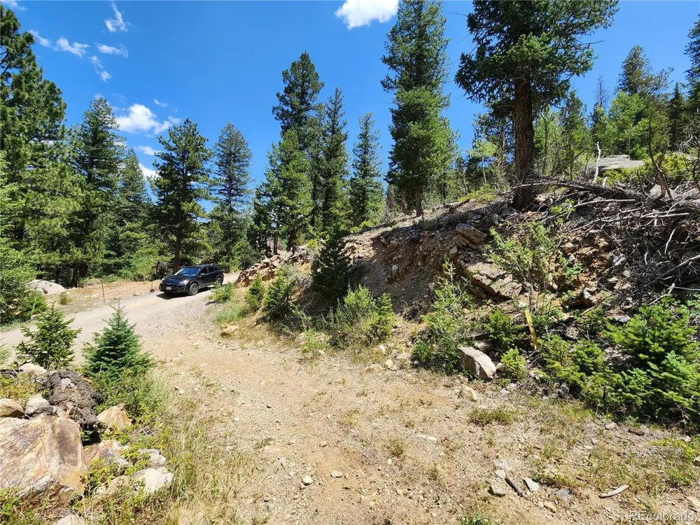 256 Capital Road Dumont, CO 80436