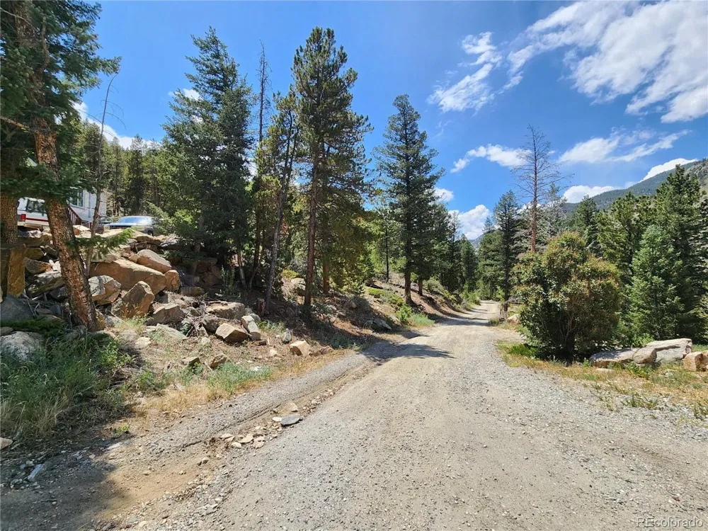 256 Capital Road Dumont, CO 80436
