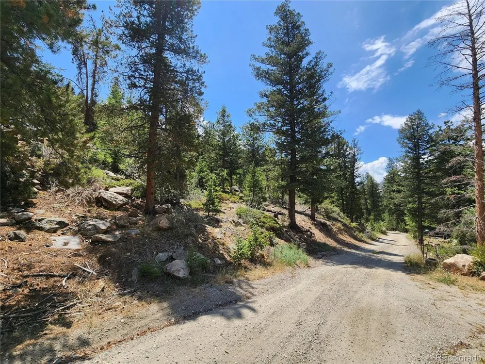 256 Capital Road Dumont, CO 80436