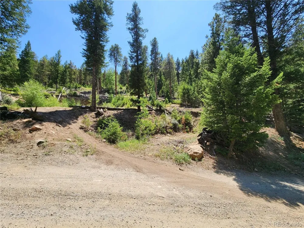 256 Capital Road Dumont, CO 80436