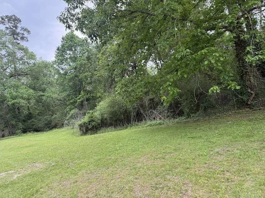 132 White Oak Drive Woodbranch, TX 77357