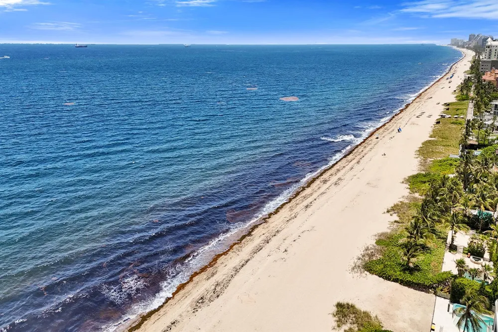 2409 OCEAN BOULEVARD #626 Fort Lauderdale, FL 33305