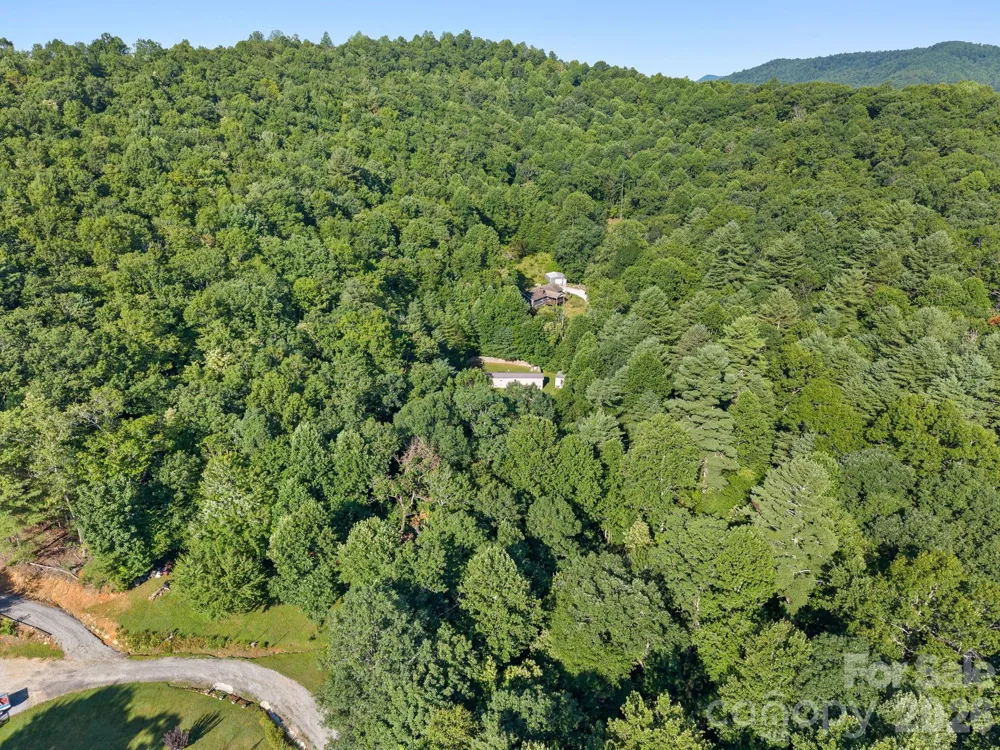 125 Ice Hollow Road Zirconia, NC 28790