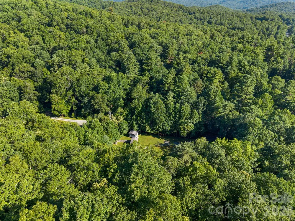 125 Ice Hollow Road Zirconia, NC 28790