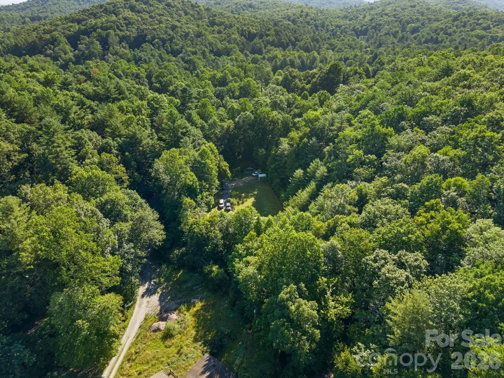 125 Ice Hollow Road Zirconia, NC 28790
