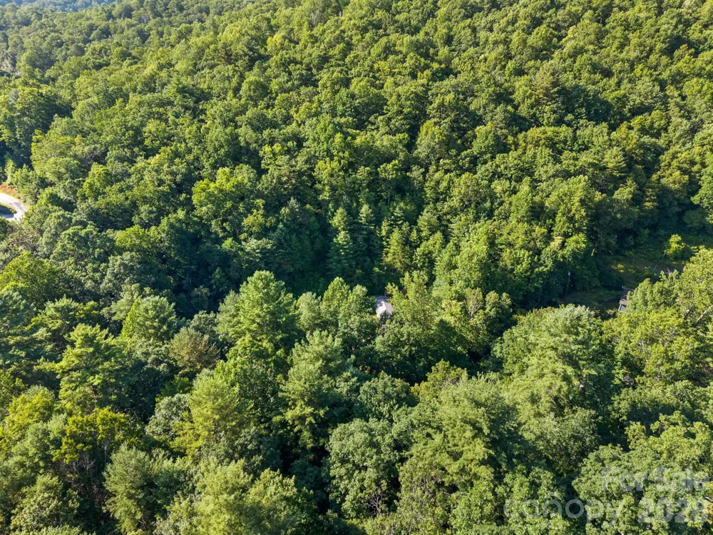 125 Ice Hollow Road Zirconia, NC 28790