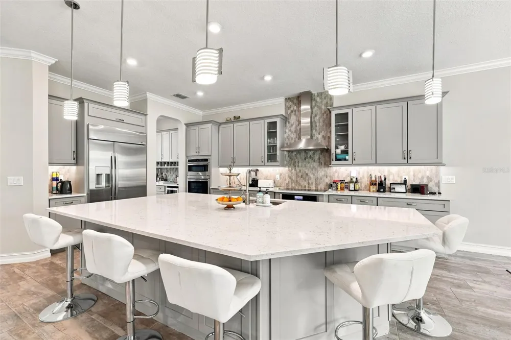 3225 CORDOBA RANCH BOULEVARD Lutz, FL 33559
