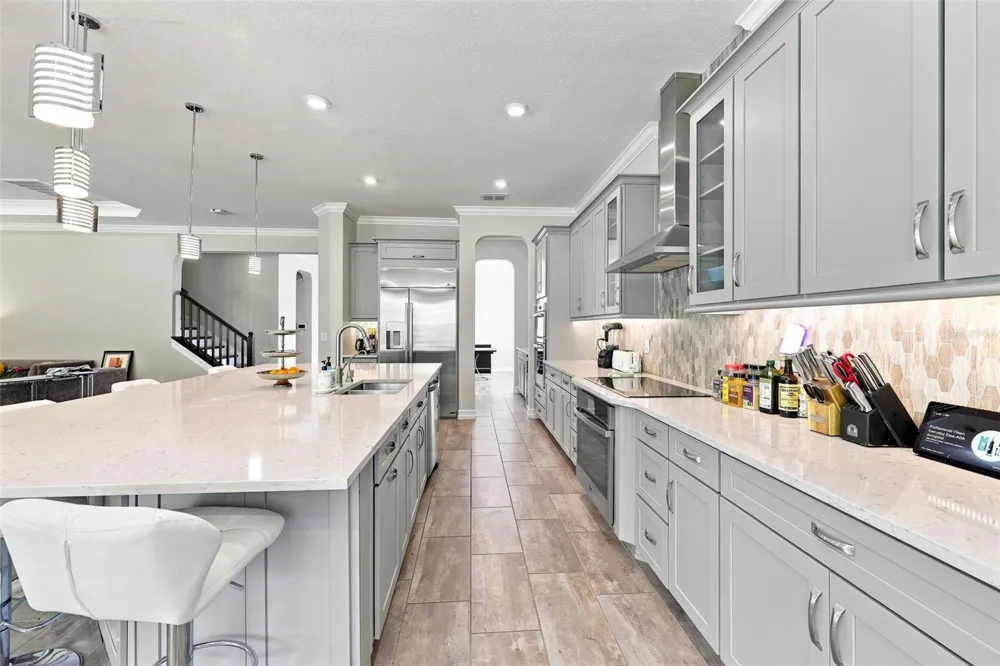 3225 CORDOBA RANCH BOULEVARD Lutz, FL 33559