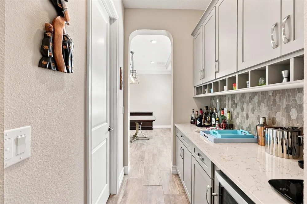 3225 CORDOBA RANCH BOULEVARD Lutz, FL 33559