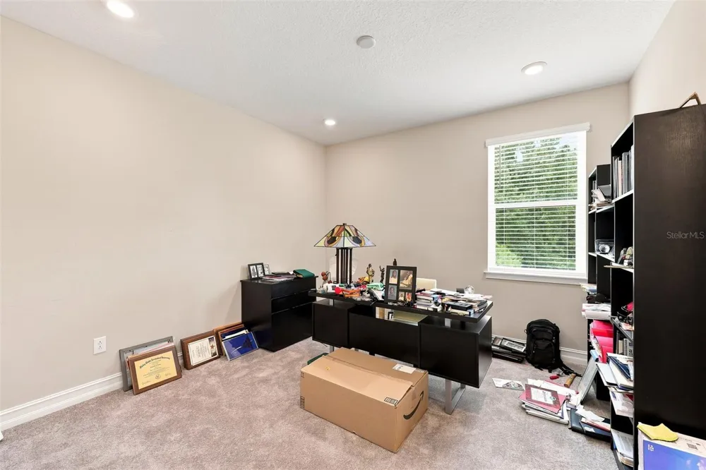 3225 CORDOBA RANCH BOULEVARD Lutz, FL 33559